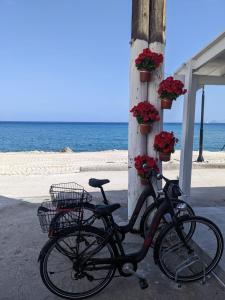 卡尔扎迈纳Pillbox Seafront Studios and Apartments的海滩上一根自行车停放在一根杆旁边