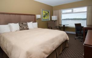 鲁珀特王子港海港旅馆的配有一张床、一张书桌和一扇窗户的酒店客房