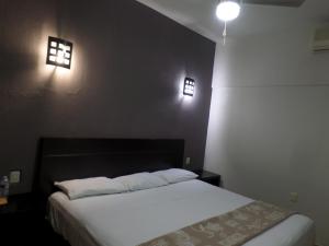图斯特拉古铁雷斯Ukeinn centro的卧室配有一张床,墙上有两盏灯
