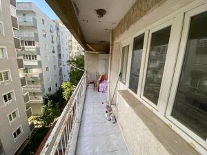 KarataşKuzey’s home的坐在大楼阳台上的猫