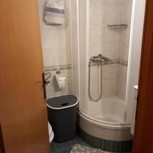 格拉达茨Apartments by the sea Gradac, Makarska - 15642的带淋浴和浴缸的浴室以及垃圾桶