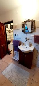 Dlouhá VesUbytovani Eden的一间带水槽和镜子的浴室