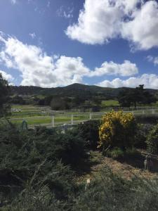 比尔顿Rock 12 Ranch的享有带围栏和树木的田野景色