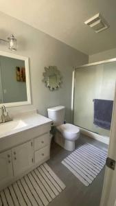 Clearlake OaksDream Catcher Getaway的一间带卫生间、水槽和镜子的浴室