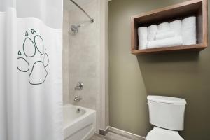 梅森Great Wolf Lodge Mason的浴室设有卫生间和带毛巾的淋浴。