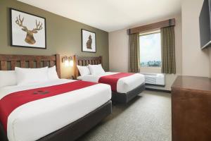 梅森Great Wolf Lodge Mason的酒店客房设有两张床和窗户。