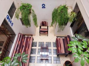 阿亚库乔Illari Wari l - Hotel Sauna的享有大堂的顶部景色,设有椅子和盆栽植物
