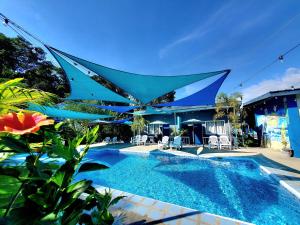 圣胡安Hidden Palms Inn and Resort的游泳池上方设有蓝色的天篷