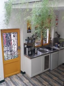 巴黎巴黎小舍公寓的厨房设有柜台和黄色门