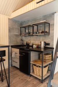 萨拉斯皮尔斯The Sound of Silence - romantic tiny house near Riga的厨房配有黑色柜台和水槽