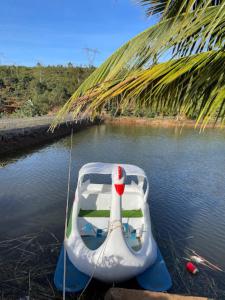 Gia NghĩaKhu Du lịch Nông trại Hải Đăng trên núi的棕榈树旁边的小船