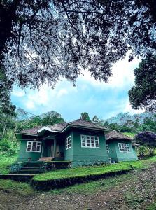 ViriparaBreeze Hill resort的坐落在田野顶上的绿色房子