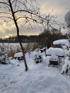 尤尔马拉Dzintarkrasts的雪覆盖的院子,有两把长椅和一棵树