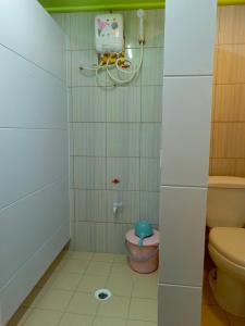 马朱罗Majuro see breeze suites的一间带卫生间和淋浴的小浴室