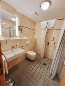 海德米赫莱Witikohof的一间带水槽、卫生间和淋浴的浴室