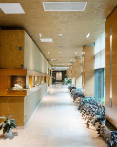 巴库FLY INN BAKU的一座有盆栽植物的建筑里空的走廊
