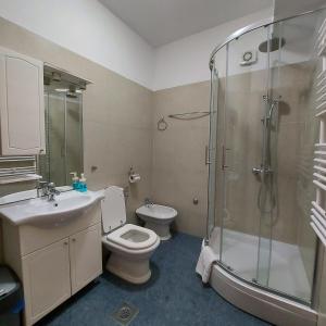 罗加克Villa Šolta的带淋浴、卫生间和盥洗盆的浴室