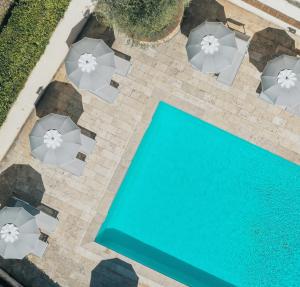 圣吉米纳诺科林酒店的享有带遮阳伞的游泳池的顶部景致