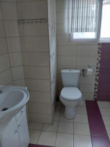 扎莫希奇Morfeusz的浴室配有白色卫生间和盥洗盆。