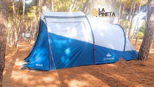 莱西纳Agricampeggio La Pineta的森林中间的蓝色帐篷