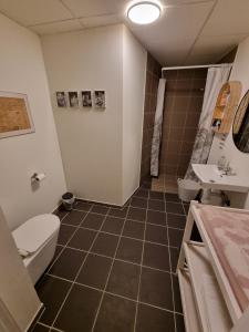 瓦格罗斯Marielyst Sleep´n Go的一间带卫生间和水槽的浴室