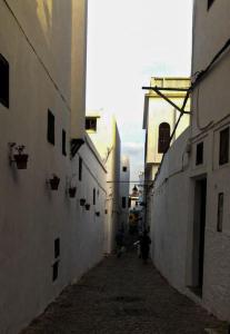 拉巴特Dar Ba sidi的两个人走在两栋建筑之间的小巷