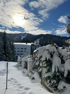 普雷代亚尔Apartament Bonton Predeal的覆盖着树木和山脉的雪 ⁇ 
