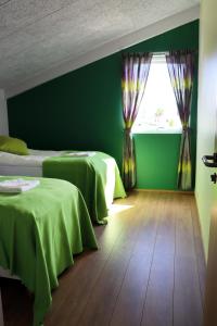 StöðvarfjörðurSaxa Guesthouse的绿色客房的两张床,设有窗户