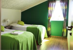 StöðvarfjörðurSaxa Guesthouse的绿色的客房设有两张床和窗户。
