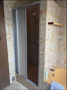 米内尔斯塔特Galeriehaus的浴室里设有玻璃门淋浴