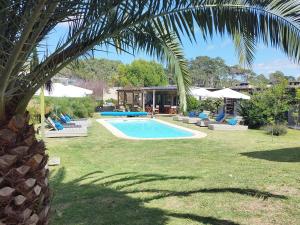 Punta ColoradaLa Bonita Suites Punta Colorada的一个带椅子和棕榈树的庭院内的游泳池
