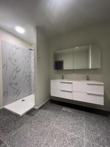 ZulteChez Victorine Zulte的浴室配有白色水槽和淋浴。