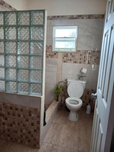 Sandy Point TownTeverence的一间带卫生间和窗户的小浴室