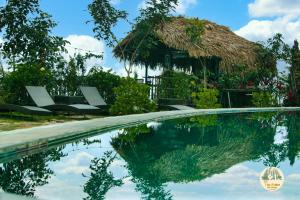 河江TVpalm Ecolodge的一个带游泳池和茅草小屋的度假村