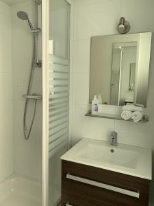 马斯特里赫特斯塔德斯瓦尔酒店的浴室配有盥洗盆和带镜子的淋浴