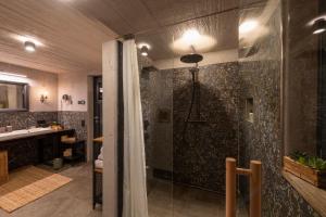 伊布斯河畔格施特灵Chalet Alte Schmiede的带淋浴和盥洗盆的浴室
