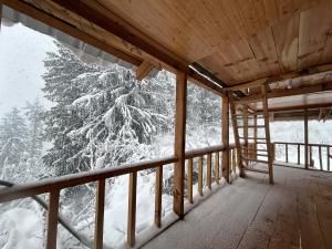 KalghaWoodstock Villa Tulga的小屋的门廊享有冬季美景,拥有一棵雪覆盖的树