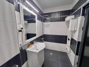 PernikХотел Антик的一间带水槽、卫生间和镜子的浴室