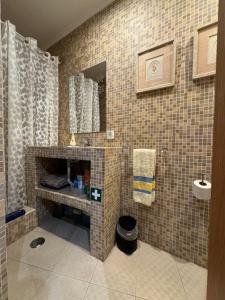 萨卡文Quinta da Vitoria的带淋浴、盥洗盆和镜子的浴室