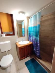 维斯普雷姆戈雅玛天派恩特芮玛酒店的浴室配有卫生间、盥洗盆和淋浴。