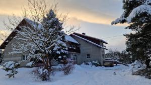 波兰尼卡-兹德鲁伊Agroturystyka Nad Cichą的雪中有一棵圣诞树的房子