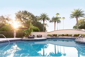 奥兰多Buena Vista Suites Orlando的一座棕榈树环绕的游泳池