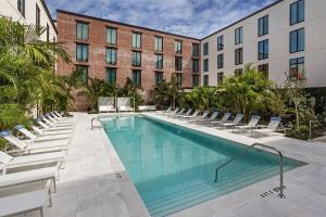 坦帕Hotel Haya的游泳池的图片