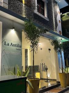 蓬蒂切里La Antilia Luxury的前面有植物的商店