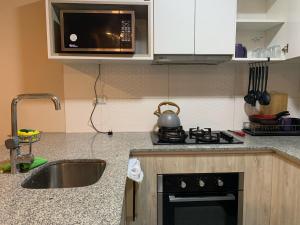 利马Mousse PL的厨房配有水槽、炉灶和微波炉