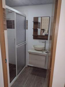 NorcasiaCasa Hostal M&M的一间带水槽和玻璃淋浴的浴室