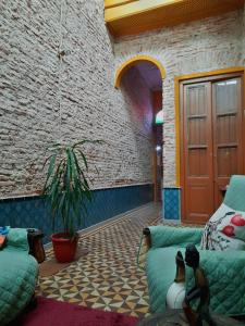 蒙得维的亚El Patio de la Morocha的带沙发和植物的客厅