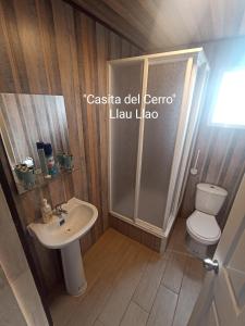 卡斯特鲁Casita del Cerro的浴室配有卫生间、盥洗盆和淋浴。