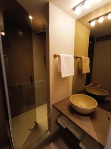 布里夫拉盖亚尔德基利亚德西布里夫酒店的一间带一个碗水槽和淋浴的浴室