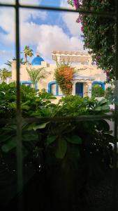 科拉雷侯富埃特文图拉KATIS精品别墅度假村的从植物窗口欣赏到建筑的景色